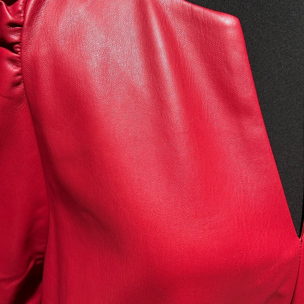Ann Taylor Vibrant Red Faux Leather Short Sleeve Dress, Size 16 - Picture 4 of 5